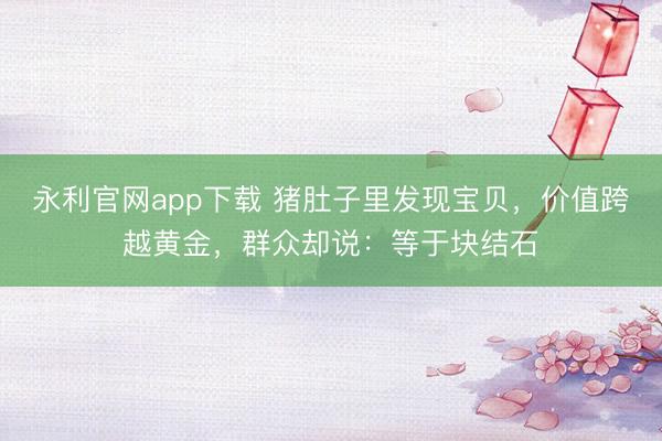 永利官网app下载 猪肚子里发现宝贝，价值跨越黄金，群众却说：等于块结石
