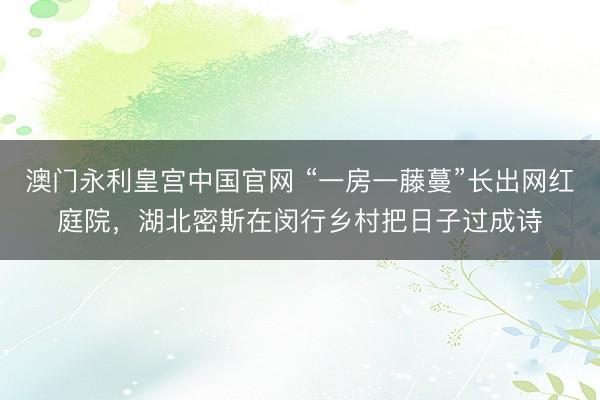 澳门永利皇宫中国官网 “一房一藤蔓”长出网红庭院，湖北密斯在闵行乡村把日子过成诗