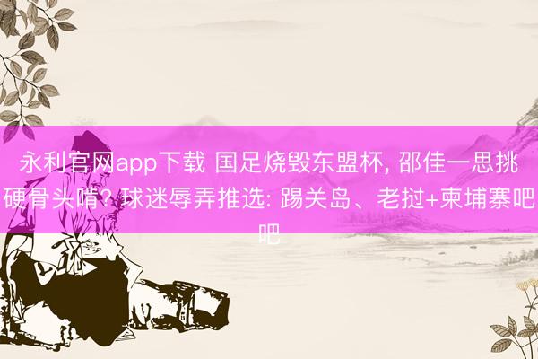 永利官网app下载 国足烧毁东盟杯， 邵佳一思挑硬骨头啃? 球迷辱弄推选: 踢关岛、老挝+柬埔寨吧