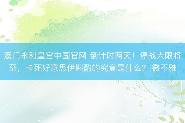 澳门永利皇宫中国官网 倒计时两天！停战大限将至，卡死好意思伊斟酌的究竟是什么？|微不雅
