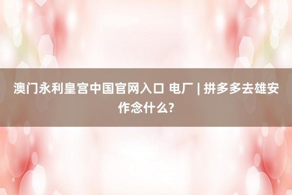 澳门永利皇宫中国官网入口 电厂 | 拼多多去雄安作念什么?